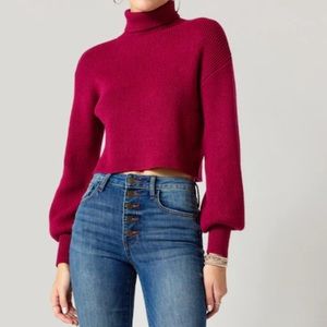 NWT Francesca’s Burgundy Turtleneck Sweater